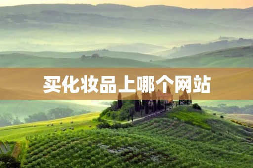 买化妆品上哪个网站