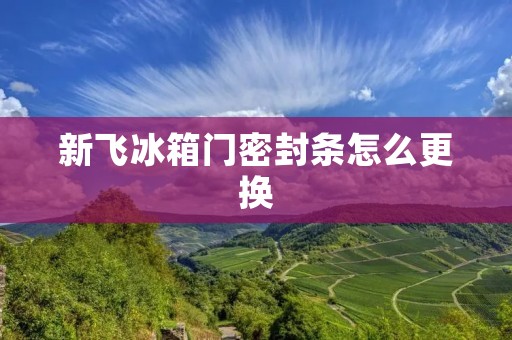 新飞冰箱门密封条怎么更换