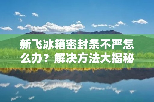 新飞冰箱密封条不严怎么办？解决方法大揭秘！