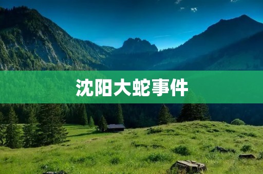 沈阳大蛇事件：一起震惊全国的罕见动物控制案件