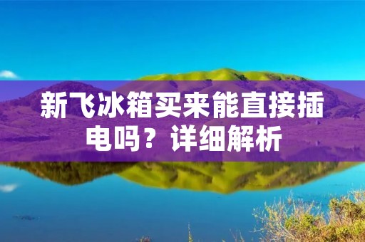 新飞冰箱买来能直接插电吗?详细解析 新飞冰箱买来能直接插电吗?详细解析