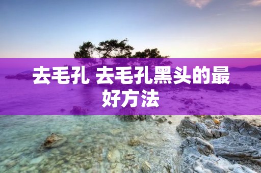 去毛孔 去毛孔黑头的最好方法 去毛孔 去毛孔黑头的最好方法