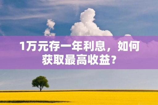 1万元存一年利息,如何获取最高收益? 1万元存一年利息,如何获取最高收益?