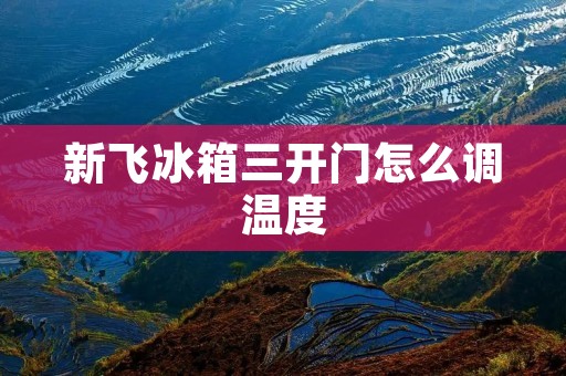 新飞冰箱三开门怎么调温度