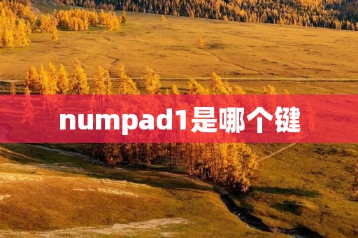 numpad1是哪个键