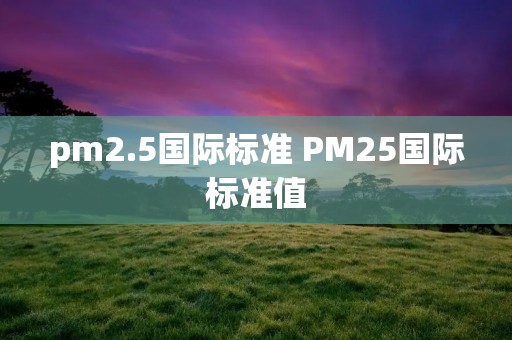 pm2.5国际标准 PM25国际标准值 pm2.5国际标准 PM25国际标准值