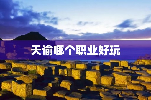 天谕哪个职业好玩 天谕哪个职业好玩