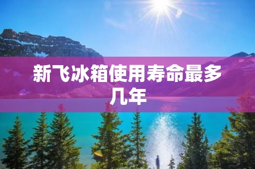 新飞冰箱使用寿命最多几年：如何延长冰箱的使用寿命