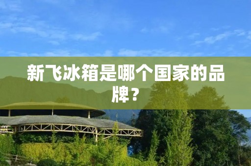 新飞冰箱是哪个国家的品牌? 新飞冰箱是哪个国家的品牌?