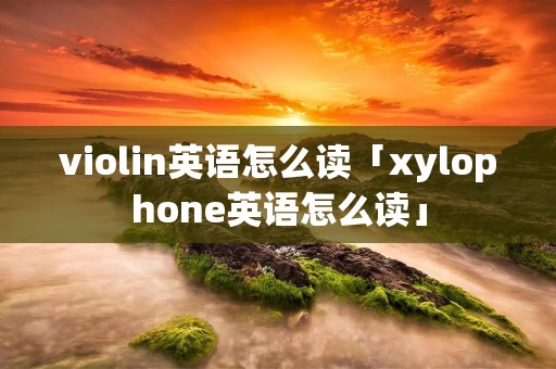 violin英语怎么读「xylophone英语怎么读」