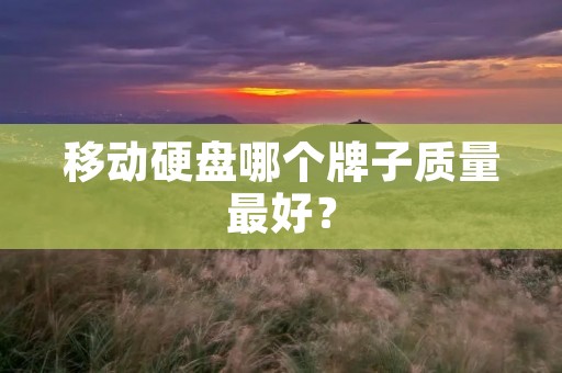 移动硬盘哪个牌子质量最好？