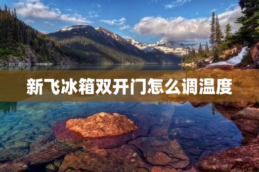 新飞冰箱**门怎么调温度
