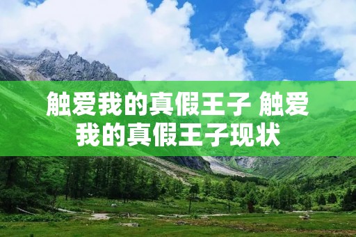 触爱我的真假王子 触爱我的真假王子现状