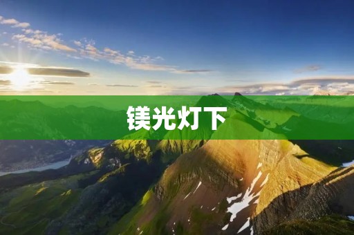 镁光灯下：揭秘明星的真实生活