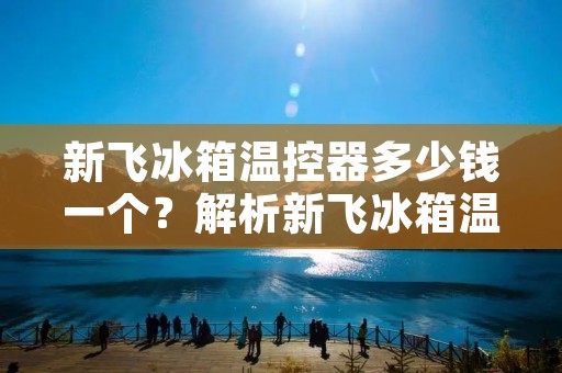 新飞冰箱温控器多少钱一个？解析新飞冰箱温控器价格及相关信息