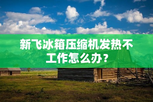 新飞冰箱压缩机发热不工作怎么办？