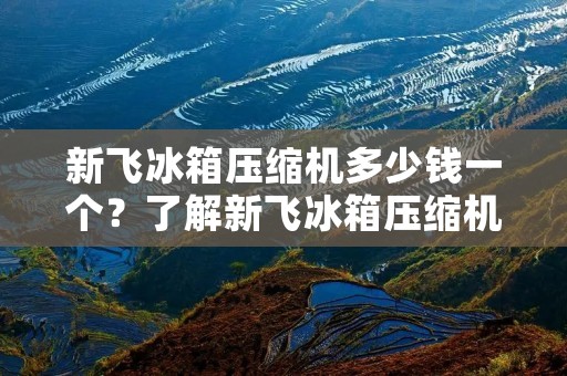 新飞冰箱压缩机多少钱一个？了解新飞冰箱压缩机价格的相关信息