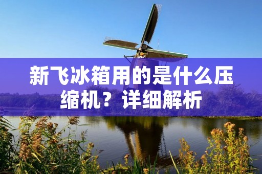 新飞冰箱用的是什么压缩机?详细解析 新飞冰箱用的是什么压缩机?详细解析