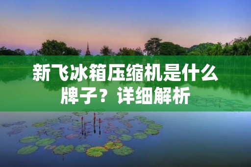 新飞冰箱压缩机是什么牌子?详细解析 新飞冰箱压缩机是什么牌子?详细解析