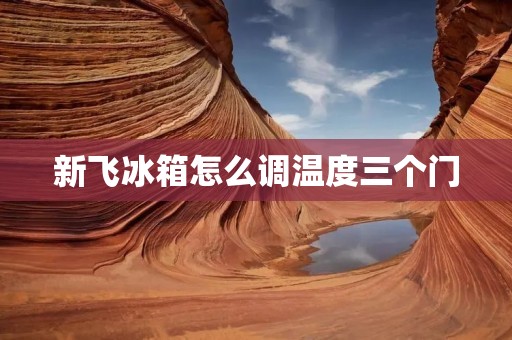 新飞冰箱怎么调温度三个门:全面解析使用技巧 新飞冰箱怎么调温度三个门:全面解析使用技巧