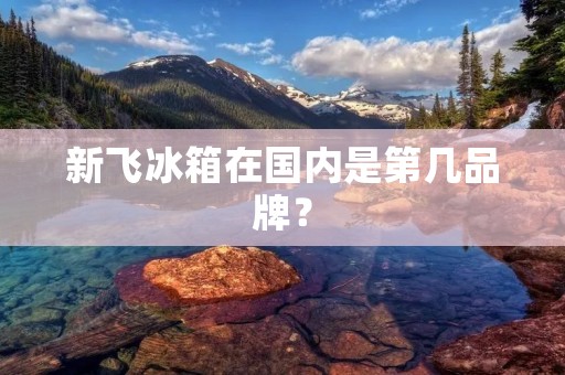 新飞冰箱在国内是第几品牌？