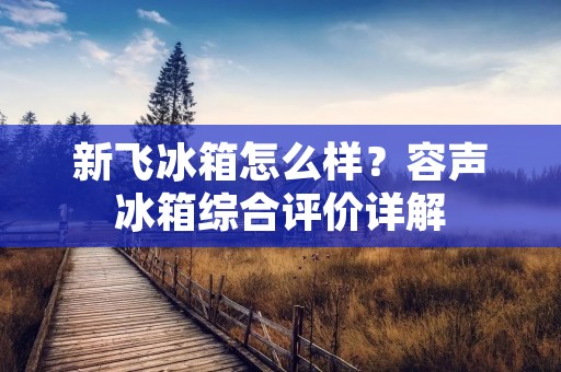 新飞冰箱怎么样？容声冰箱综合评价详解