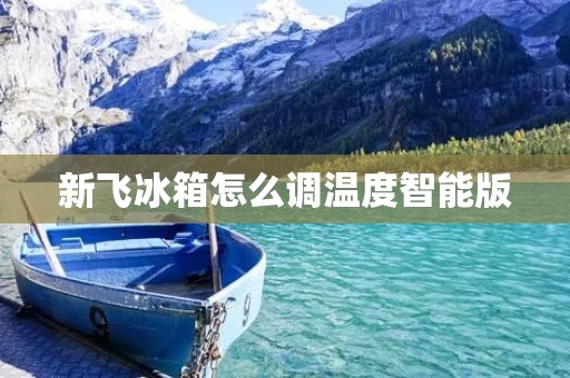 新飞冰箱怎么调温度智能版：详细指南