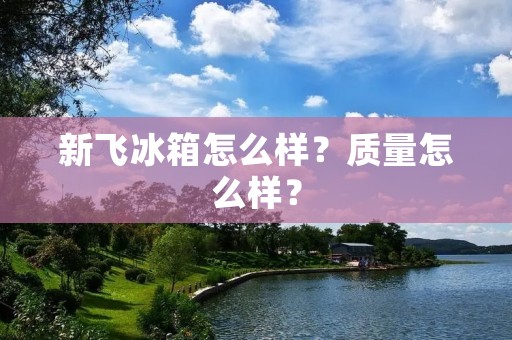 新飞冰箱怎么样?质量怎么样? 新飞冰箱怎么样?质量怎么样?
