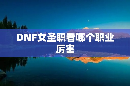 DNF女圣职者哪个职业厉害