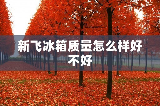 新飞冰箱质量怎么样好不好:全面评析与用户反馈 新飞冰箱质量怎么样好不好:全面评析与用户反馈