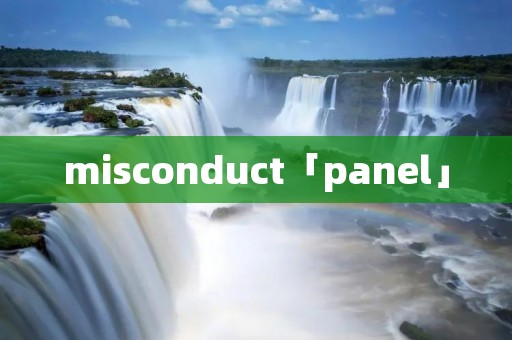 misconduct「panel」