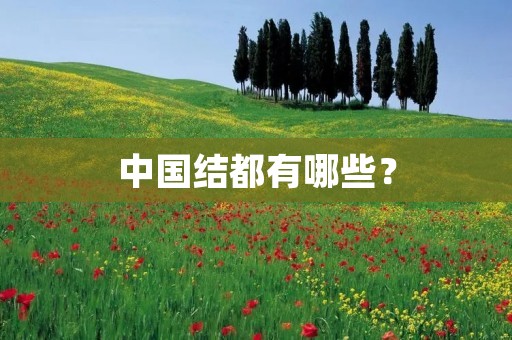 中国结都有哪些? 中国结都有哪些?