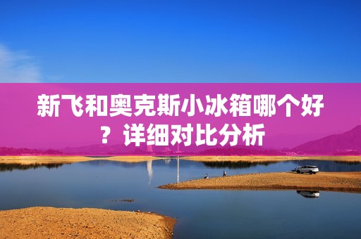 新飞和奥克斯小冰箱哪个好？详细对比分析