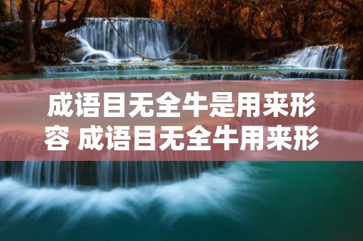 成语目无全牛是用来形容 成语目无全牛用来形容什么 成语目无全牛是用来形容 成语目无全牛用来形容什么