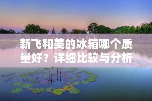 新飞和美的冰箱哪个质量好？详细比较与分析