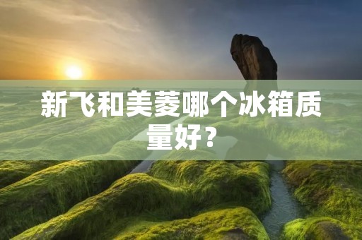 新飞和美菱哪个冰箱质量好? 新飞和美菱哪个冰箱质量好?