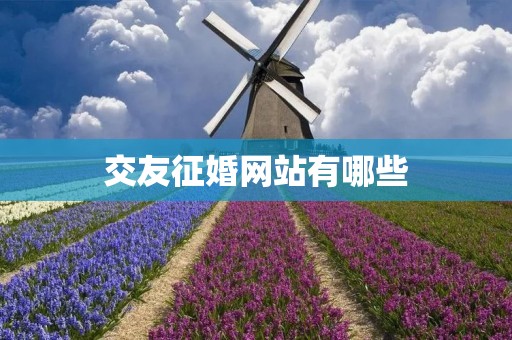 交友征婚网站有哪些 交友征婚网站有哪些