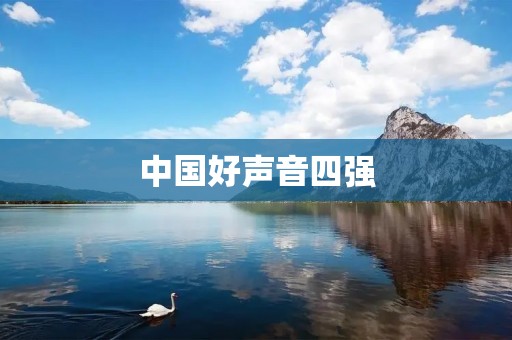 中国好声音四强：音乐之巅，青春绽放