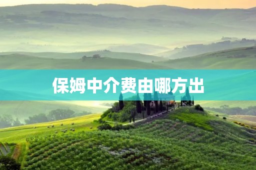 保姆中介费由哪方出 保姆中介费由哪方出