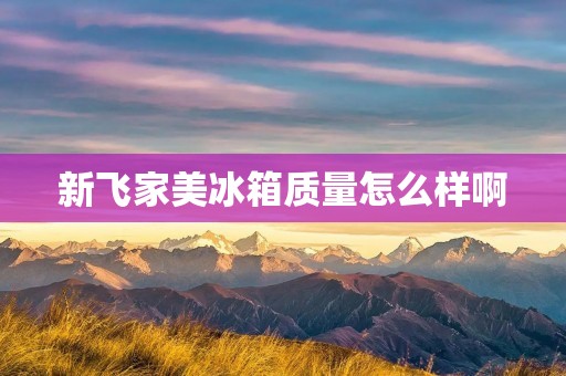 新飞家美冰箱质量怎么样啊