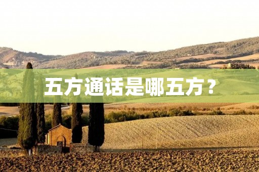 五方通话是哪五方? 五方通话是哪五方?