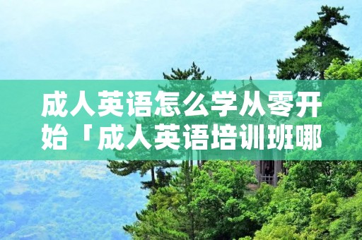 成人英语怎么学从零开始「成人英语培训班哪个机构好」