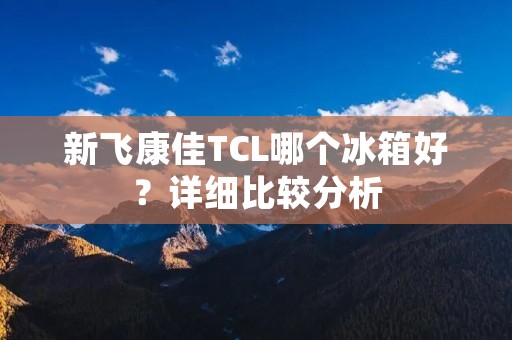 新飞康佳TCL哪个冰箱好？详细比较分析