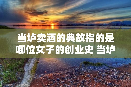 当垆卖酒的典故指的是哪位女子的创业史 当垆卖酒是什么意思