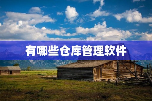 有哪些仓库管理软件 有哪些仓库管理软件