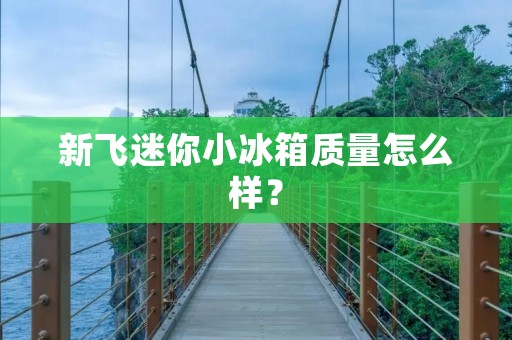 新飞迷你小冰箱质量怎么样？