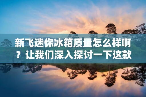 新飞迷你冰箱质量怎么样啊？让我们深入探讨一下这款迷你冰箱的质量表现。新飞作为一家知名的家电品牌，一直以来都以其可靠的产品质量而闻名于世。对于迷你冰箱这一小型家电产品，质量更是至关重要。那么，新飞迷你冰箱的质量如何呢？下面我们将从外观设计、冷藏效果、耗电情况以及用户评价等方面进行详细描述。