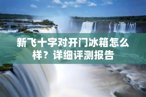 新飞十字对开门冰箱怎么样？详细评测报告