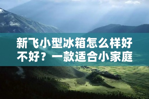 新飞小型冰箱怎么样好不好？一款适合小家庭的理想选择