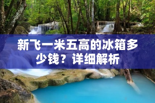 新飞一米五高的冰箱多少钱？详细解析